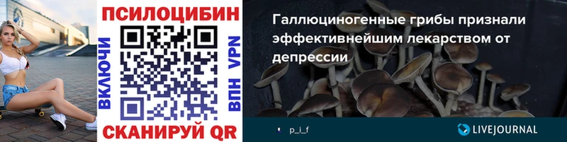 где купить наркоту  Тогучин  OMG ТОР  Псилоцибиновые грибы ЛСД 